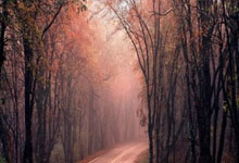 开云体育官网：瑞士26岁滑雪运动员遭遇雪崩身亡，曾参加北京冬奥会北青网.