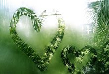 [流言板]大帅获得个人第三冠，3冠1亚辅助位荣誉第三.